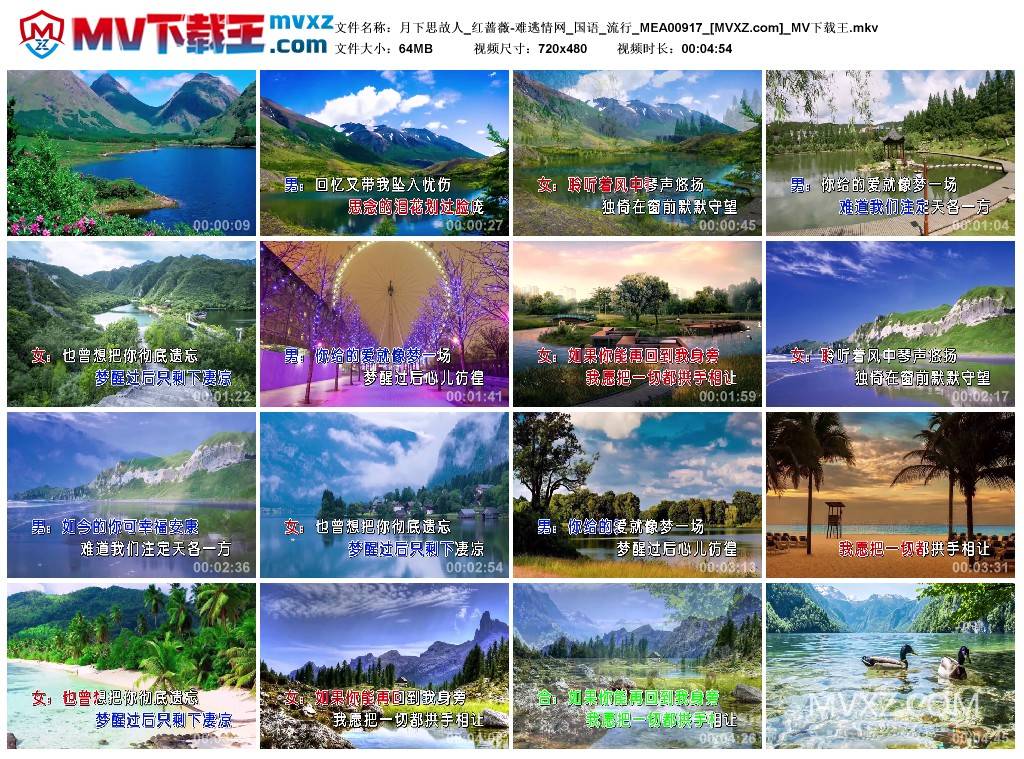 月下思故人_红蔷薇-难逃情网_国语_流行_MEA00917